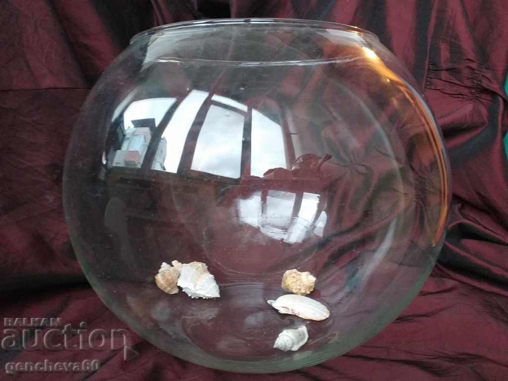 Acvariu mare de sticlă - 6 Acvariu mare de sticlă - 6
