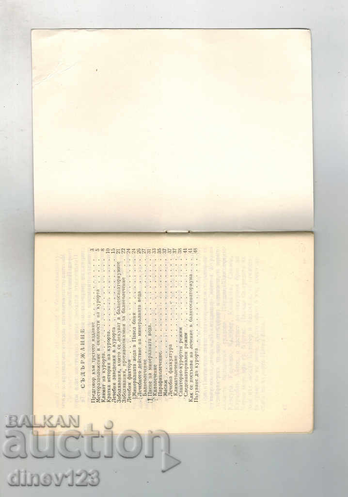 Auction  Our resorts Pavel Banya