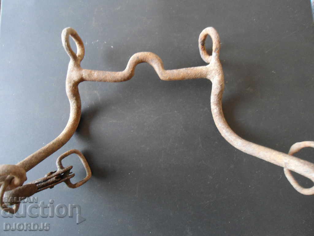 Auction Old bridle Auction Old bridle