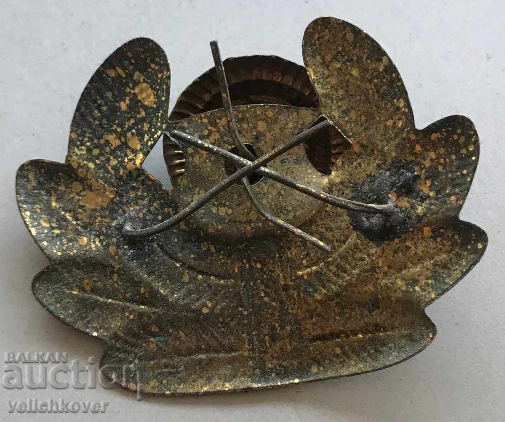 26982 Bulgaria cockade forage officer Air Force 50's with price 10.00 BGN | € 5.11 26982 Bulgaria cockade forage officer Air Force 50's with price 10.00 BGN | € 5.11