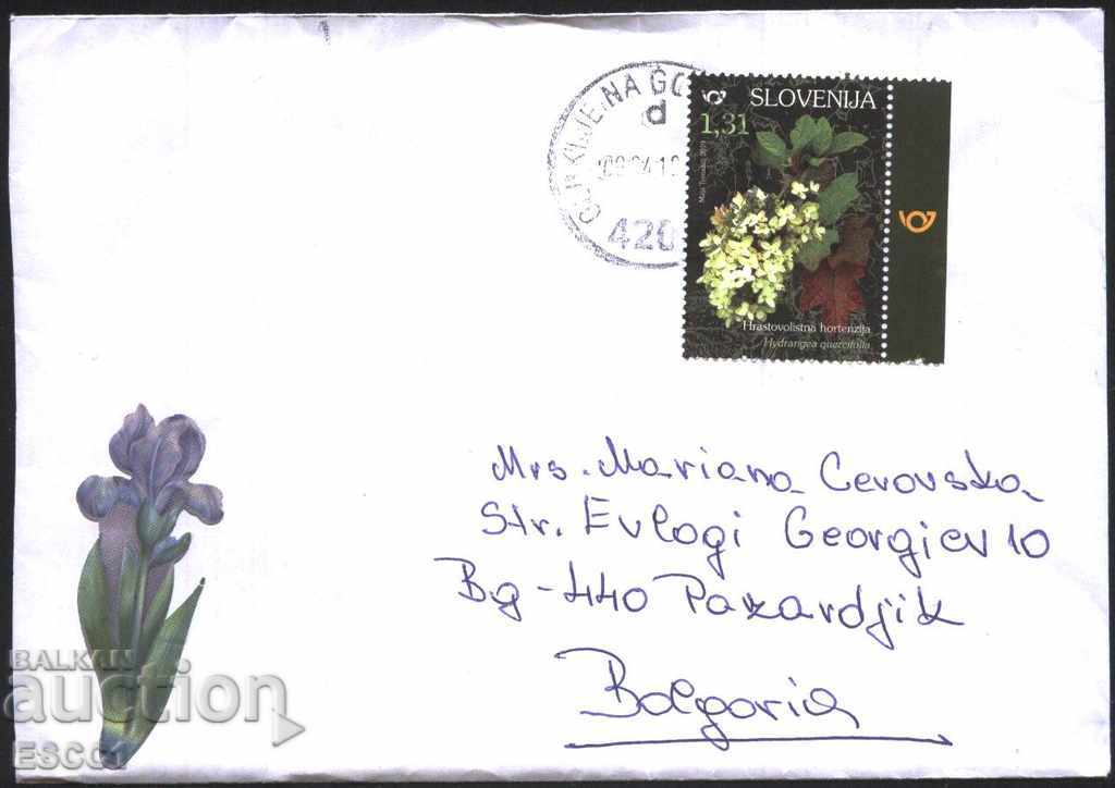 A 2019 Flora Flowers envelope from Slovenia traveled