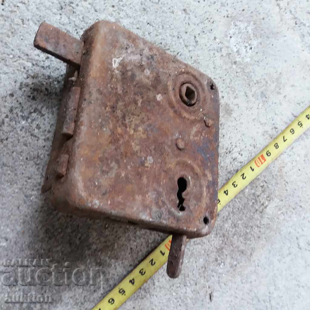 Delivery of STAR HORSES BRAVA Delivery of STAR HORSES BRAVA