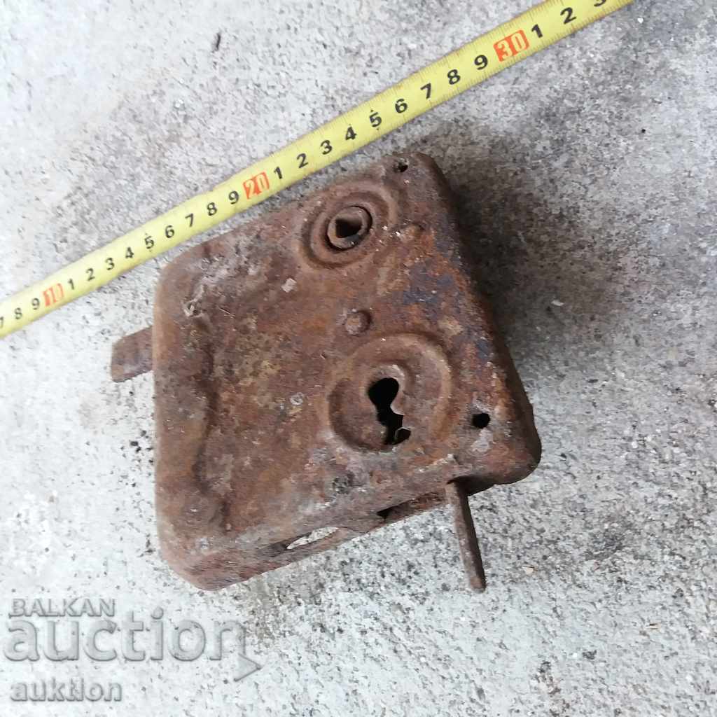 STAR HORSES BRAVA - 5 STAR HORSES BRAVA - 5