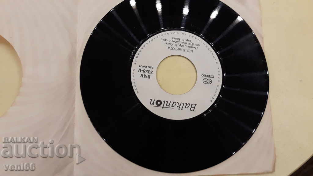 Auction VMK 3338 Dushanka Labor Auction VMK 3338 Dushanka Labor