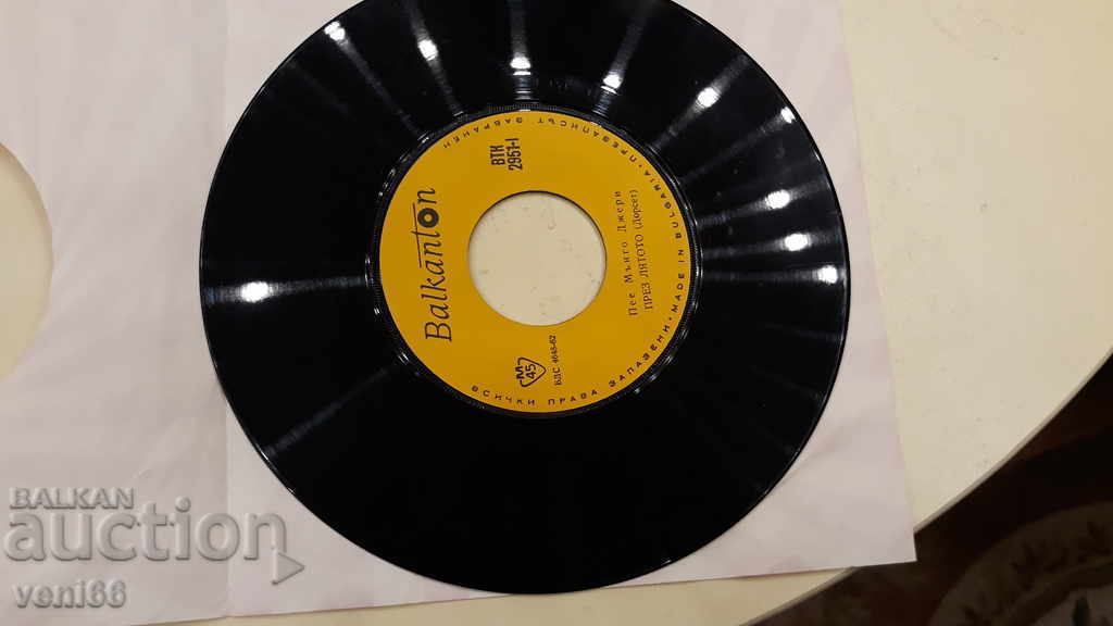 Auction VTK 2951 Mango Jerry Auction VTK 2951 Mango Jerry