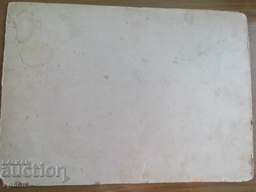 Licitație FOTO VECHE - CARTON - MARE - 0362