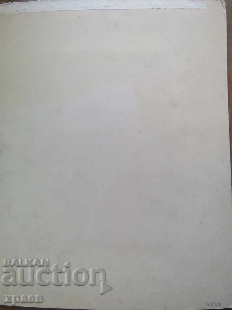 Auction OLD PHOTO - CARDBOARD - LARGE - 0367 Auction OLD PHOTO - CARDBOARD - LARGE - 0367