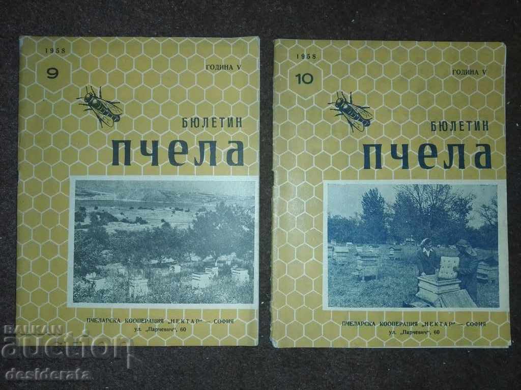 Buletinul informativ al albinelor Ediția 9-10 / 1958