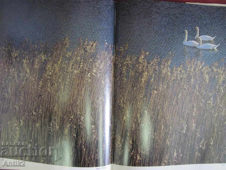 1984 Album PHOTOGRAPHY YEAR BOOK Book - 5 1984 Album PHOTOGRAPHY YEAR BOOK Book - 5