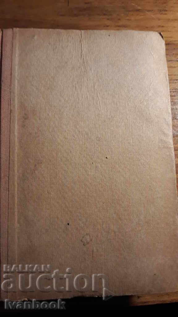 Antique book - Theory of literature