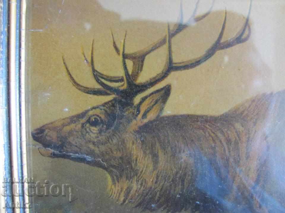 19th Century Original Chromolithograph - Deer with price 30.00 BGN | € 15.34 19th Century Original Chromolithograph - Deer with price 30.00 BGN | € 15.34