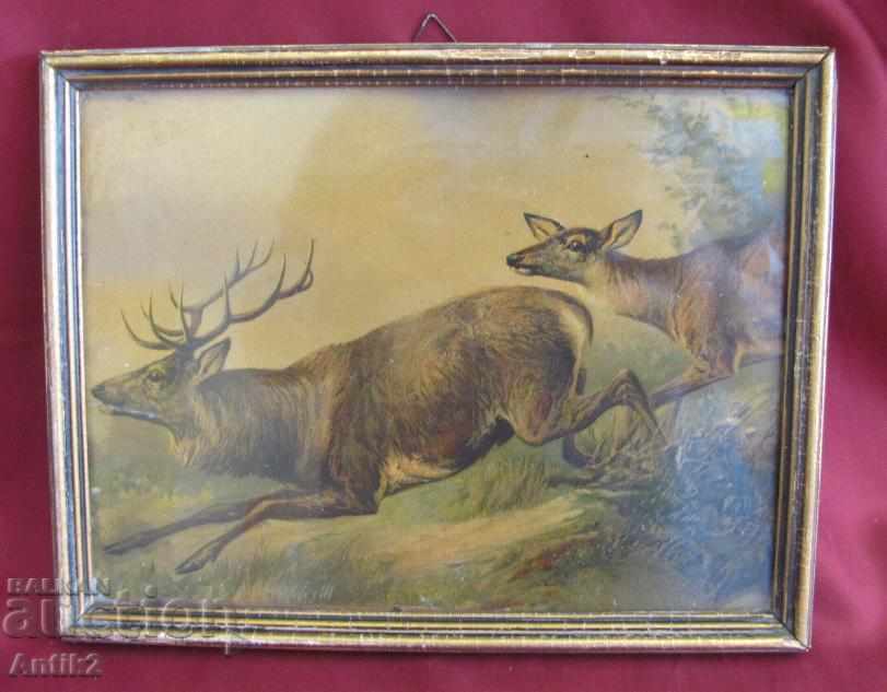 19th Century Original Chromolithograph - Deer - 6 19th Century Original Chromolithograph - Deer - 6