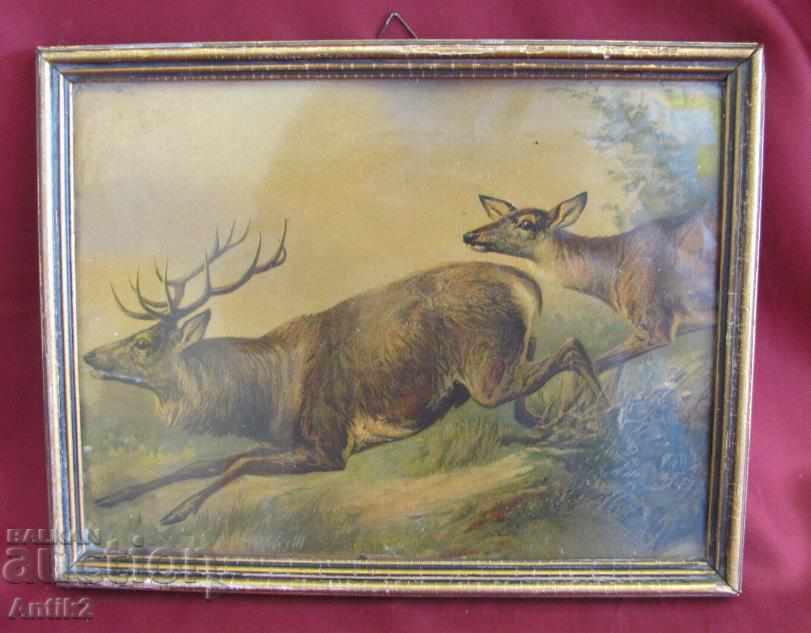 19th Century Original Chromolithography - Deer