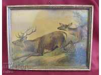 19th Century Original Chromolithography - Deer