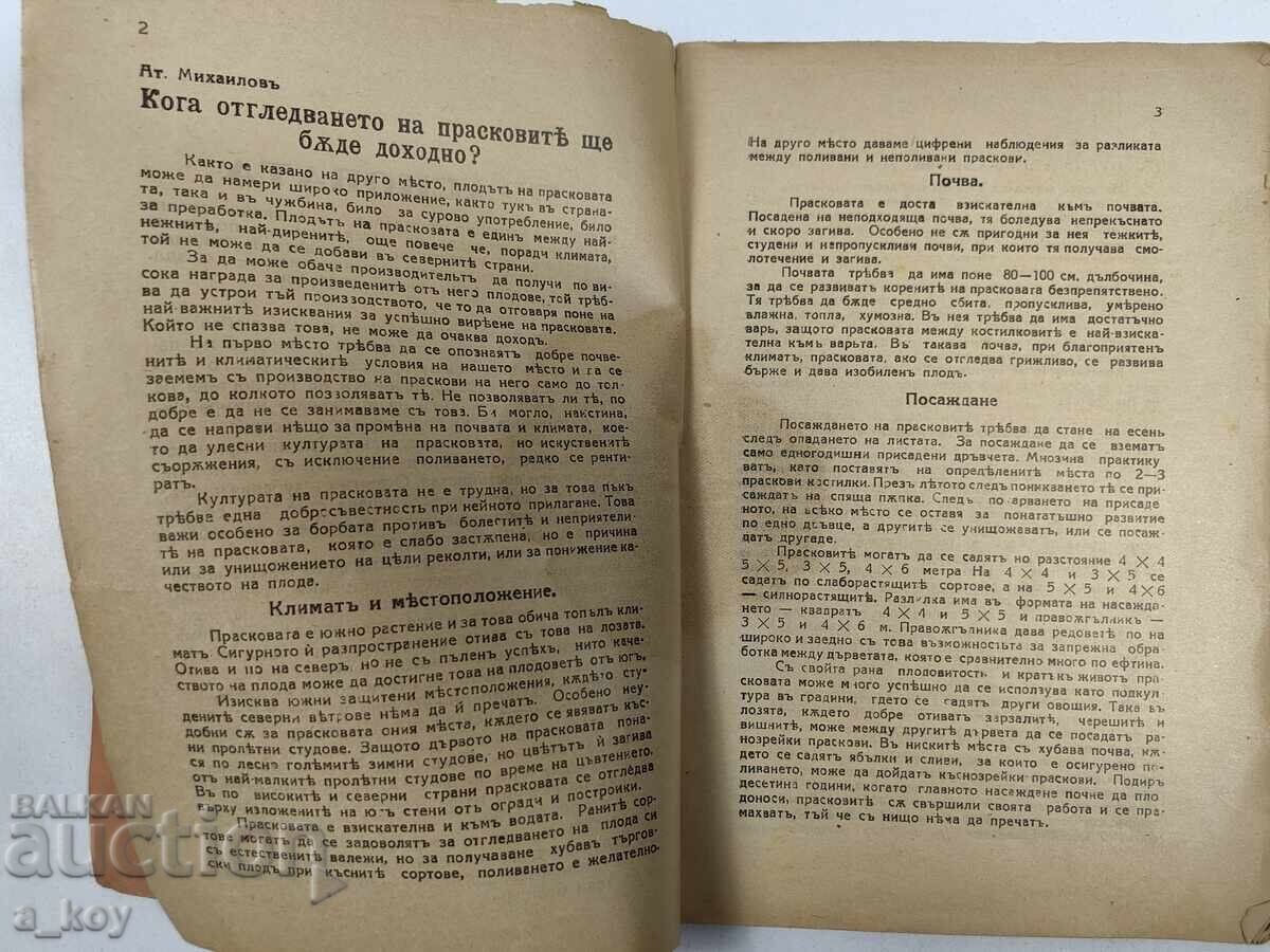 Auction . ROYAL PEACH VARIETIES PEACH DISEASES WATERING VEGETABLES Auction . ROYAL PEACH VARIETIES PEACH DISEASES WATERING VEGETABLES