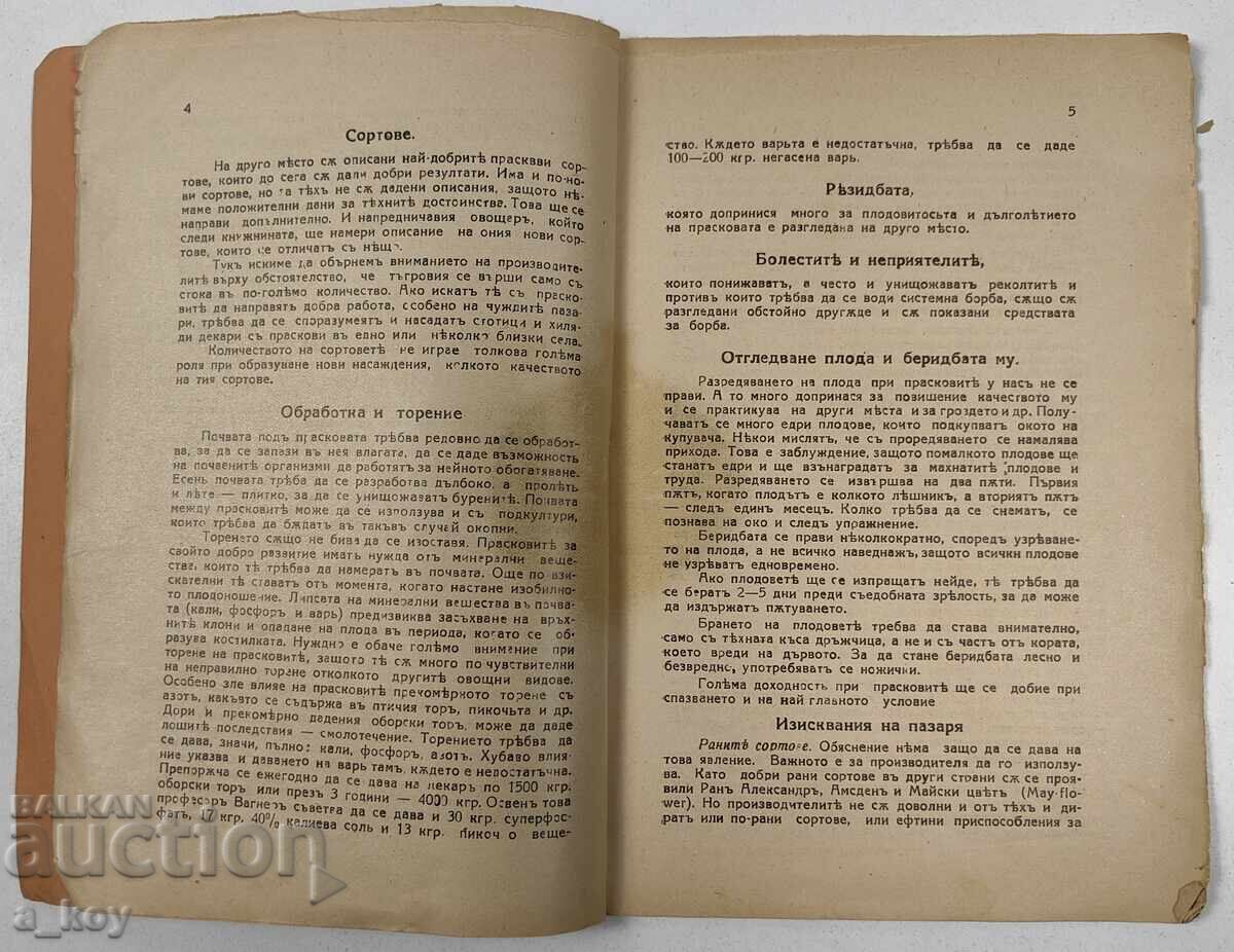Delivery of . ROYAL PEACH VARIETIES PEACH DISEASES WATERING VEGETABLES Delivery of . ROYAL PEACH VARIETIES PEACH DISEASES WATERING VEGETABLES
