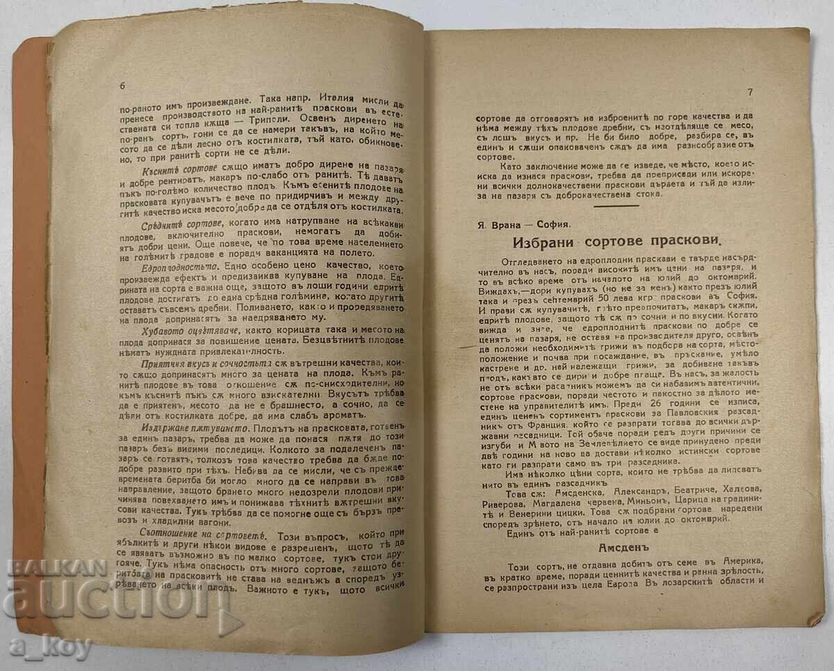 . ROYAL PEACH VARIETIES PEACH DISEASES WATERING VEGETABLES - 5 . ROYAL PEACH VARIETIES PEACH DISEASES WATERING VEGETABLES - 5