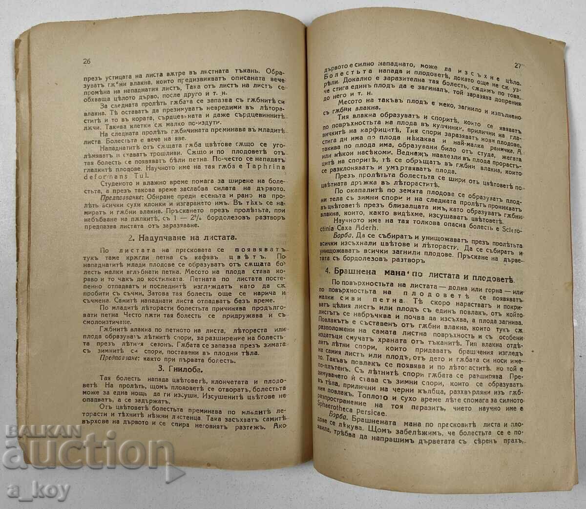 . ROYAL PEACH VARIETIES PEACH DISEASES WATERING VEGETABLES - 6 . ROYAL PEACH VARIETIES PEACH DISEASES WATERING VEGETABLES - 6