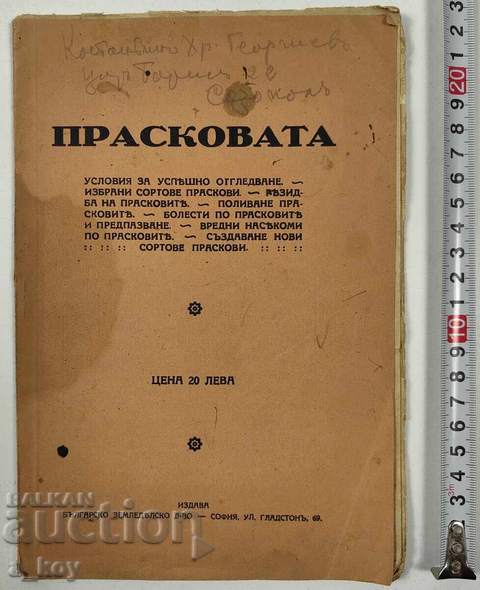 . ROYAL PEACH VARIETIES PEACH DISEASES WATERING VEGETABLES . ROYAL PEACH VARIETIES PEACH DISEASES WATERING VEGETABLES