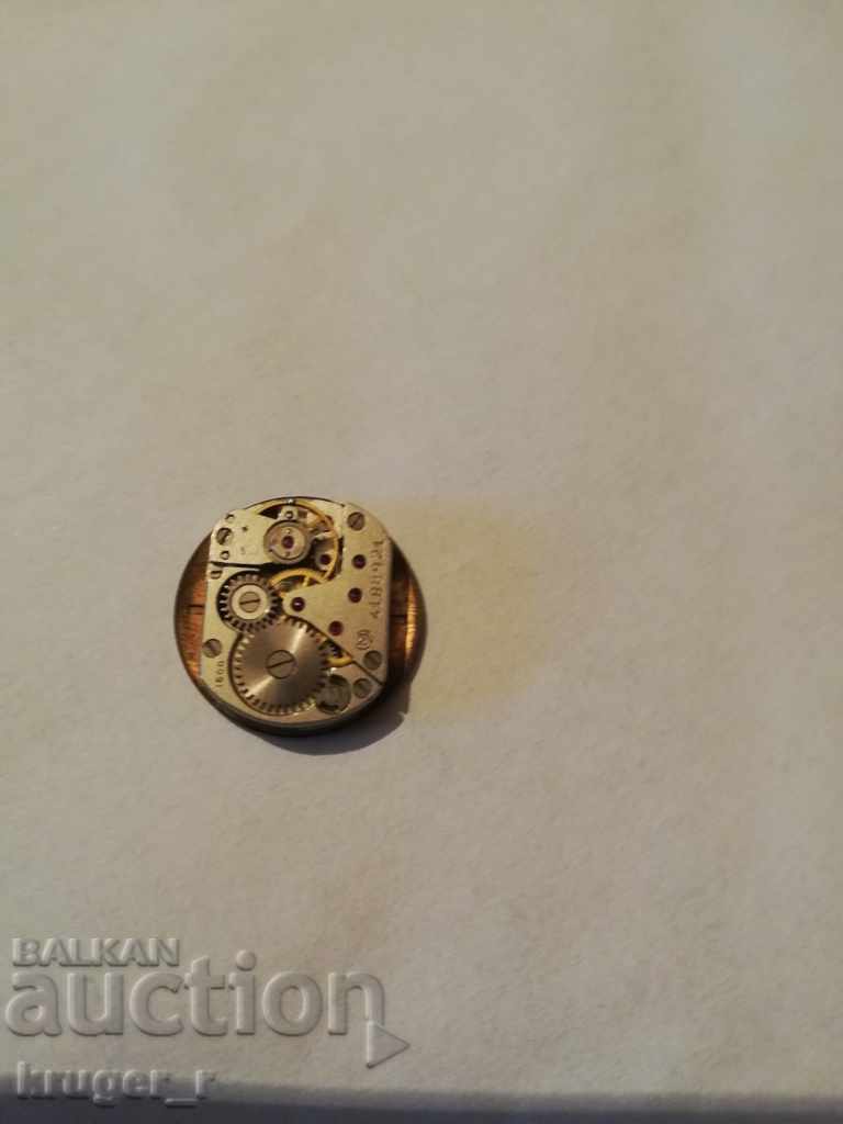 Delivery of Machine Slava Delivery of Machine Slava