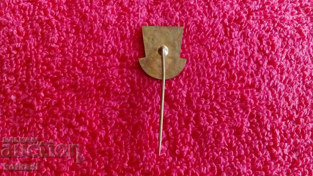 Delivery of Old metal bronze badge pin Delivery of Old metal bronze badge pin