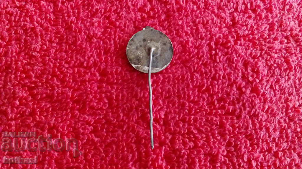 Livrarea Vechi metal bronz insignă pin email bec Livrarea Vechi metal bronz insignă pin email bec