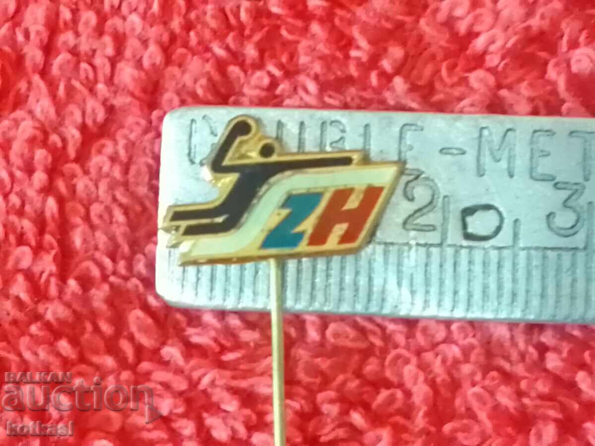 Old metal bronze sports badge pin Old metal bronze sports badge pin