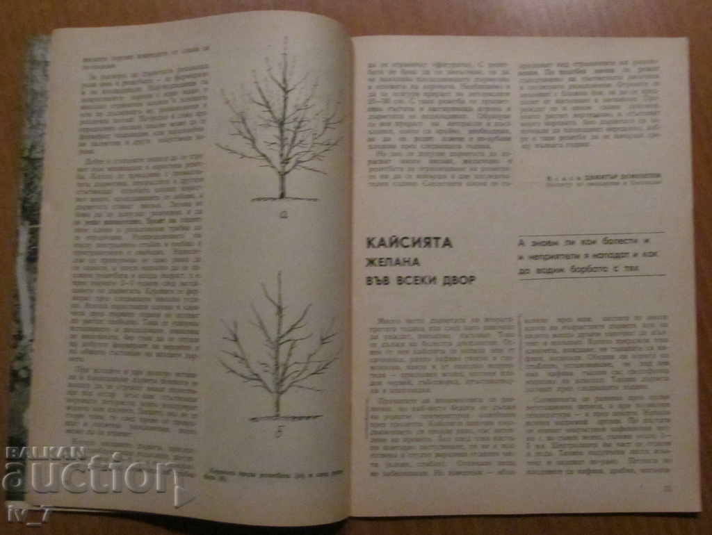 Δημοπρασία ΠΕΡΙΟΔΙΚΟ "ΠΡΟΣΩΠΙΚΗ ΚΑΙ ΒΟΗΘΗΤΙΚΗ ΟΙΚΟΝΟΜΙΑ" - ΤΕΥΧΟΣ 2, 1987