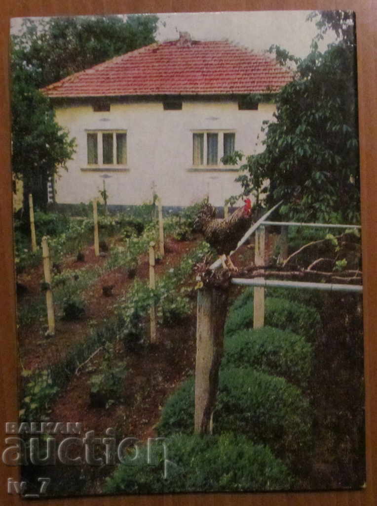 Delivery of MAGAZINE "PERSONAL AND HELPFUL ECONOMY" - ISSUE 2, 1987 Delivery of MAGAZINE "PERSONAL AND HELPFUL ECONOMY" - ISSUE 2, 1987