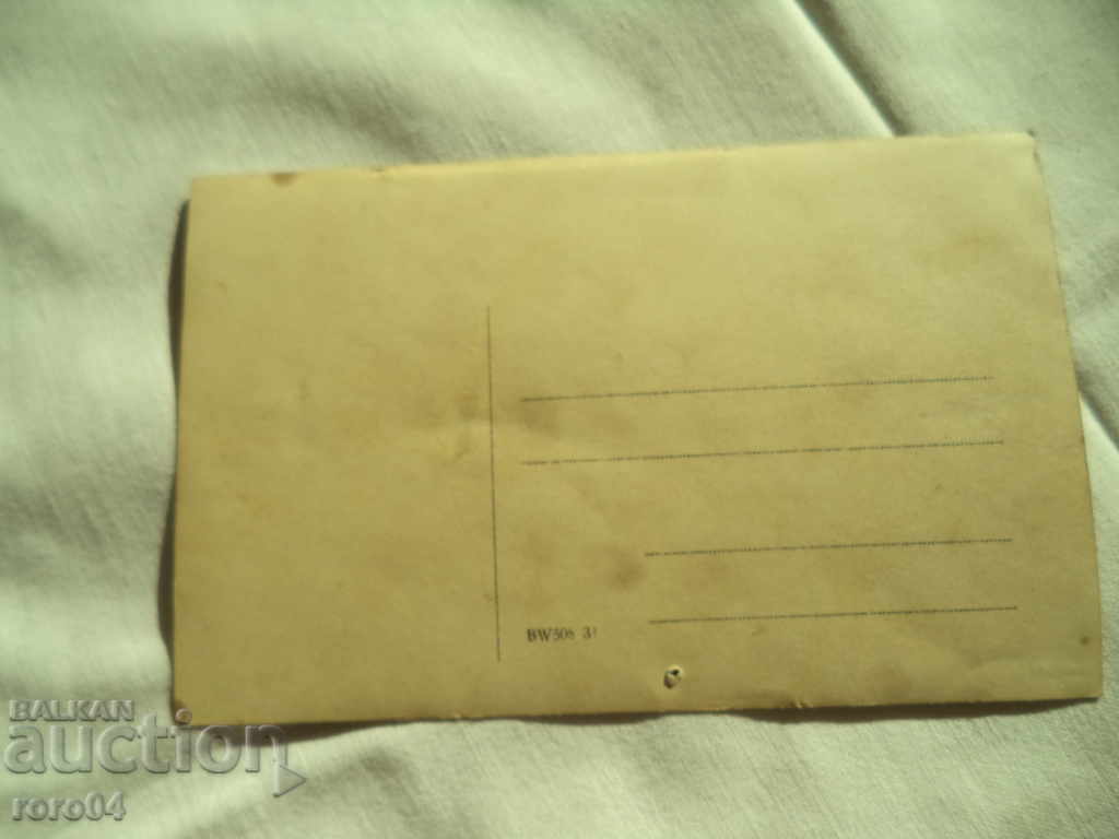 Auction CATS - Caps Auction CATS - Caps