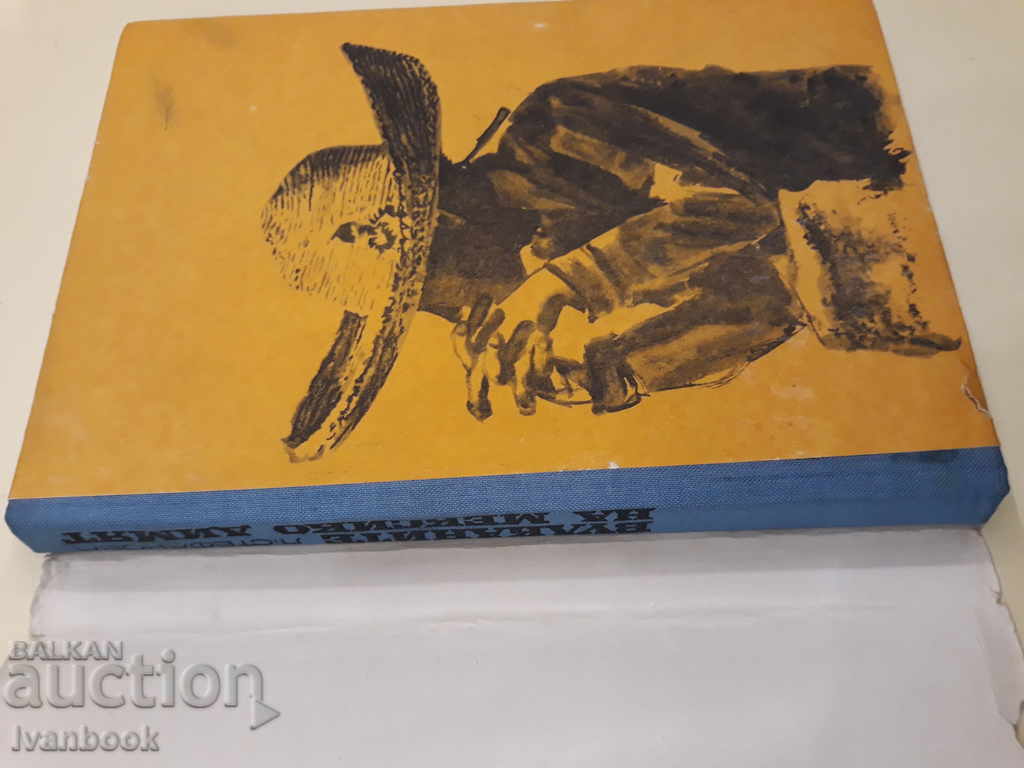 Auction Mexico's volcano smoke - Lilyana Stefanova Auction Mexico's volcano smoke - Lilyana Stefanova