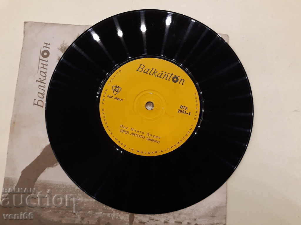 Auction VTK 2951 Mango Jerry Auction VTK 2951 Mango Jerry