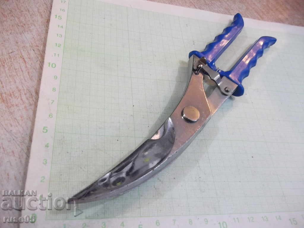 Auction Scissor curved Auction Scissor curved