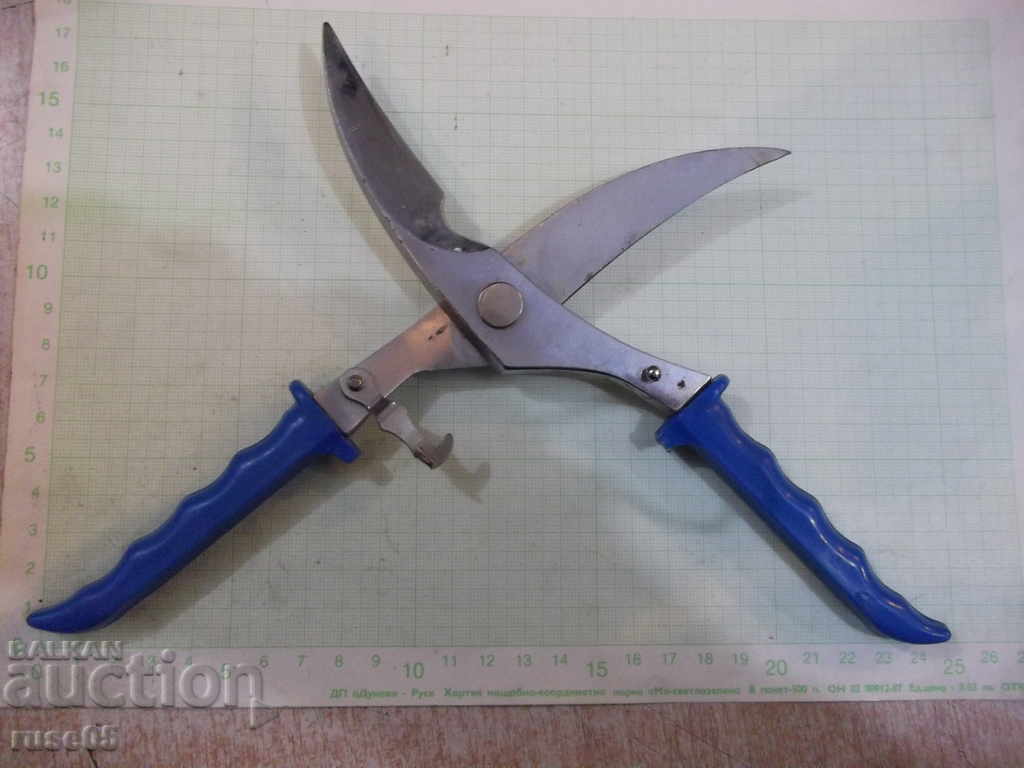 Scissor curved - 6 Scissor curved - 6