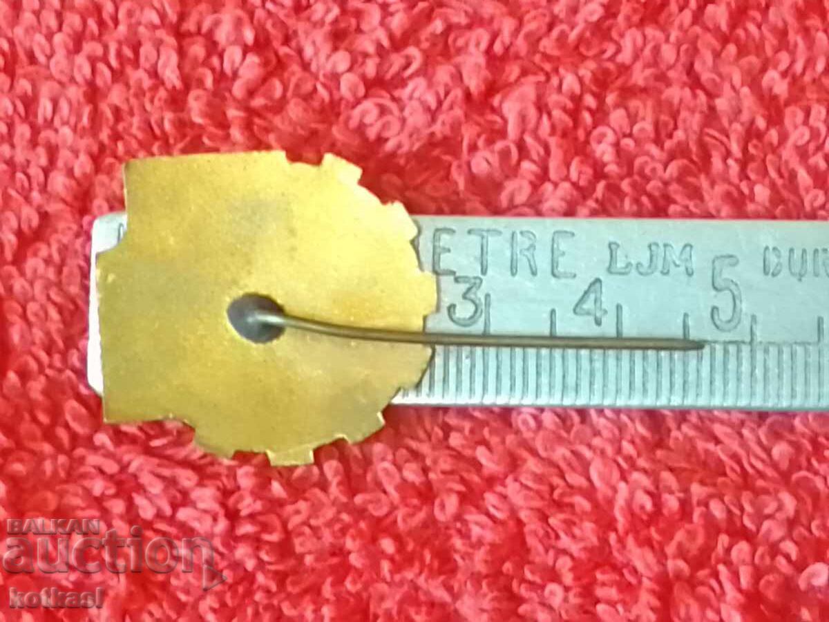 Old social badge bronze pin enamel PERNIK BTS excellent with price 21.00 BGN | € 10.74 Old social badge bronze pin enamel PERNIK BTS excellent with price 21.00 BGN | € 10.74