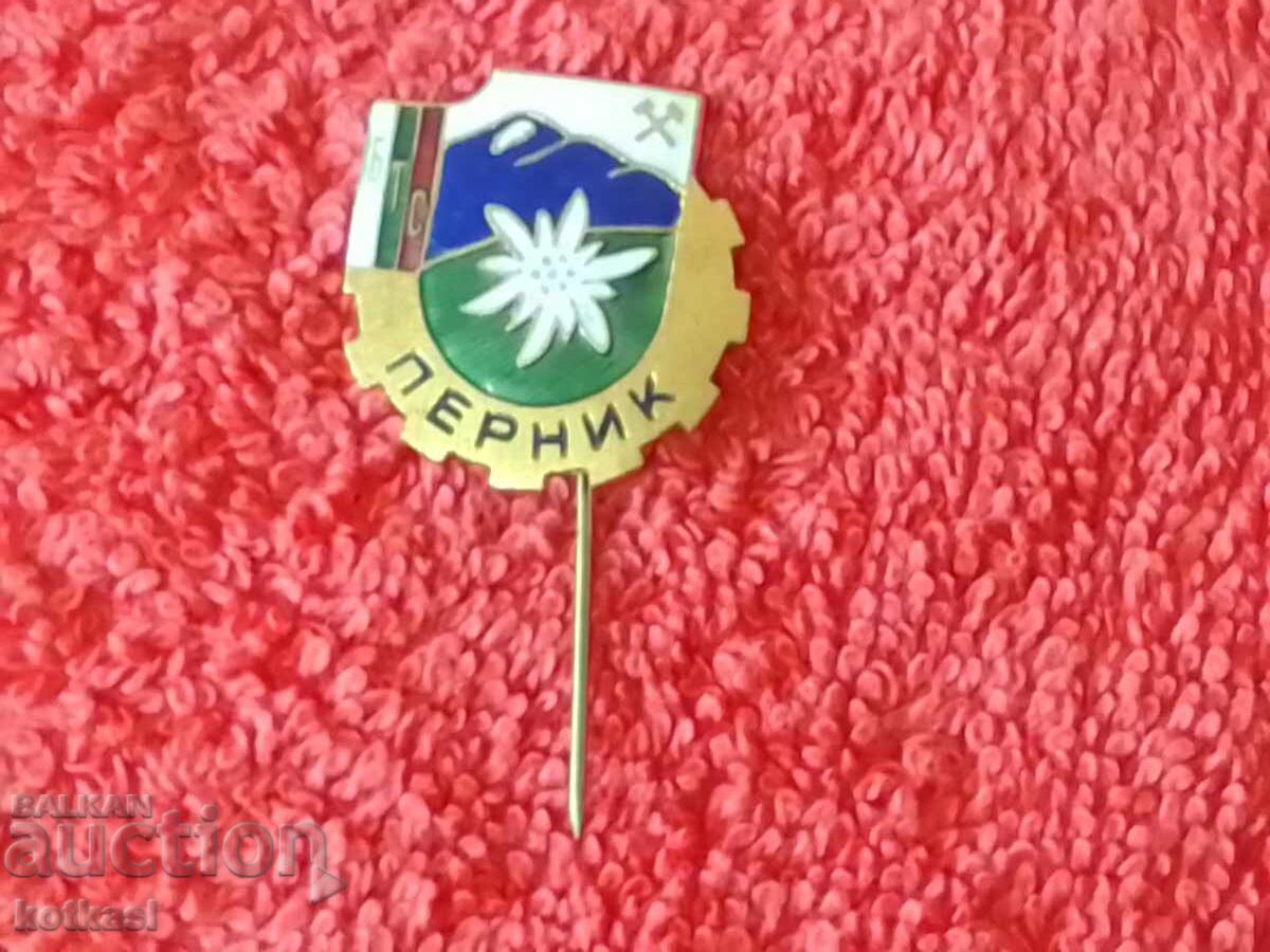 Auction Old social badge bronze pin enamel PERNIK BTS excellent Auction Old social badge bronze pin enamel PERNIK BTS excellent