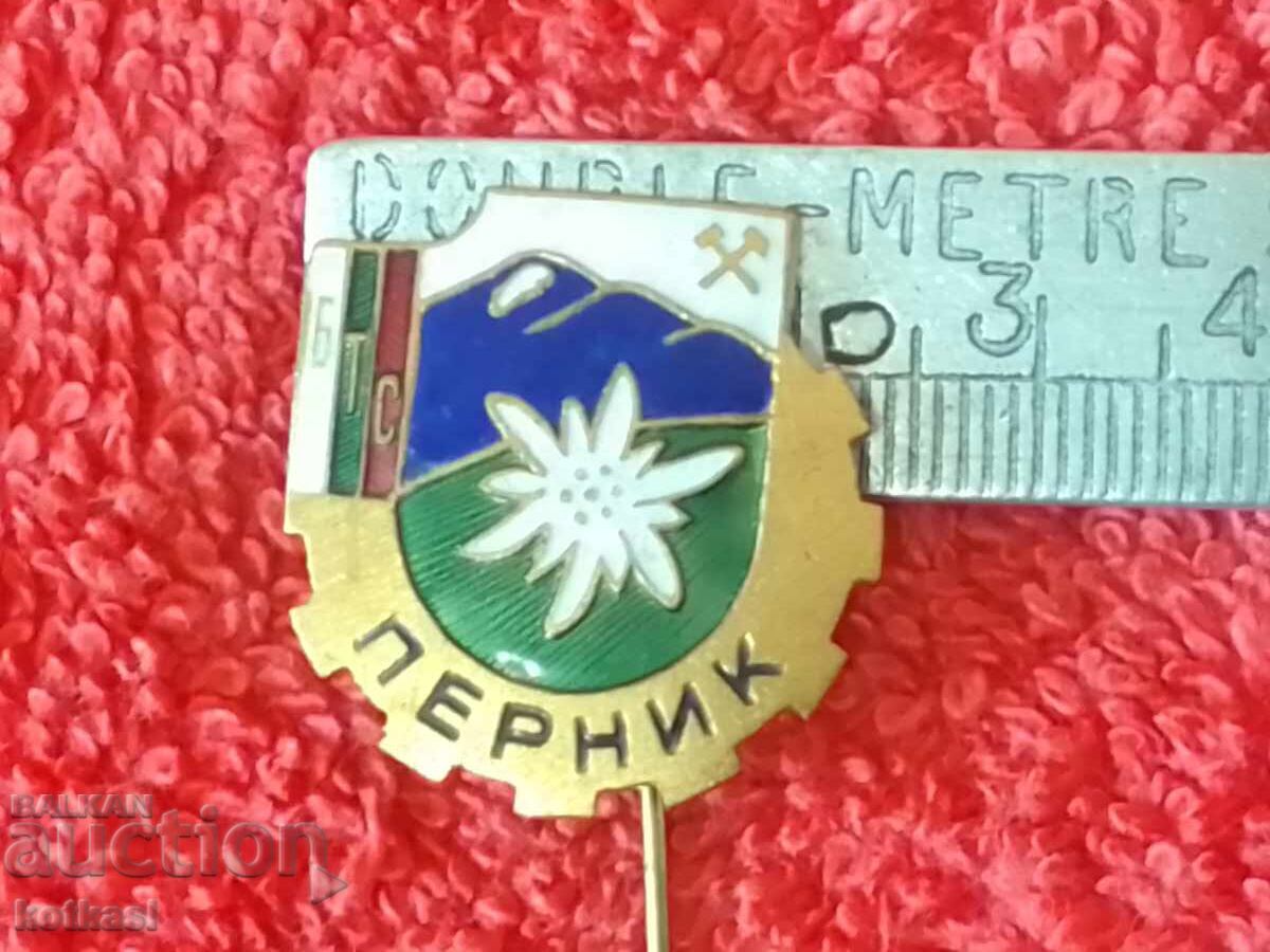 Old social badge bronze pin enamel PERNIK BTS excellent Old social badge bronze pin enamel PERNIK BTS excellent