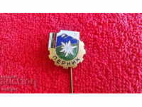 Old bronze badge social needle enamel PERNIK BTS excellent