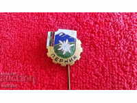 Old social badge bronze pin enamel PERNIK BTS excellent