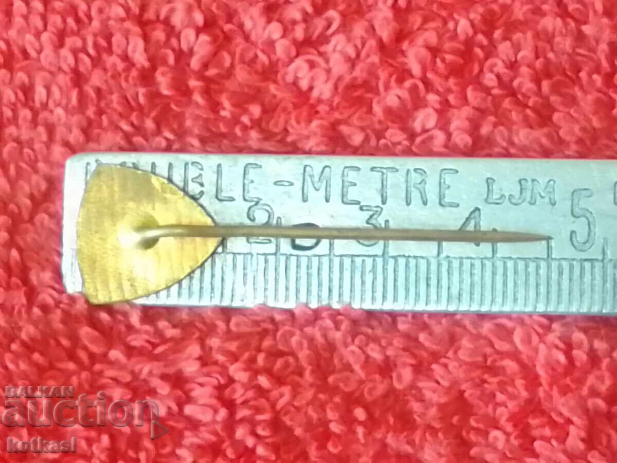 Old Chirana Modrany solid metal bronze badge with price 3.50 BGN | € 1.79 Old Chirana Modrany solid metal bronze badge with price 3.50 BGN | € 1.79