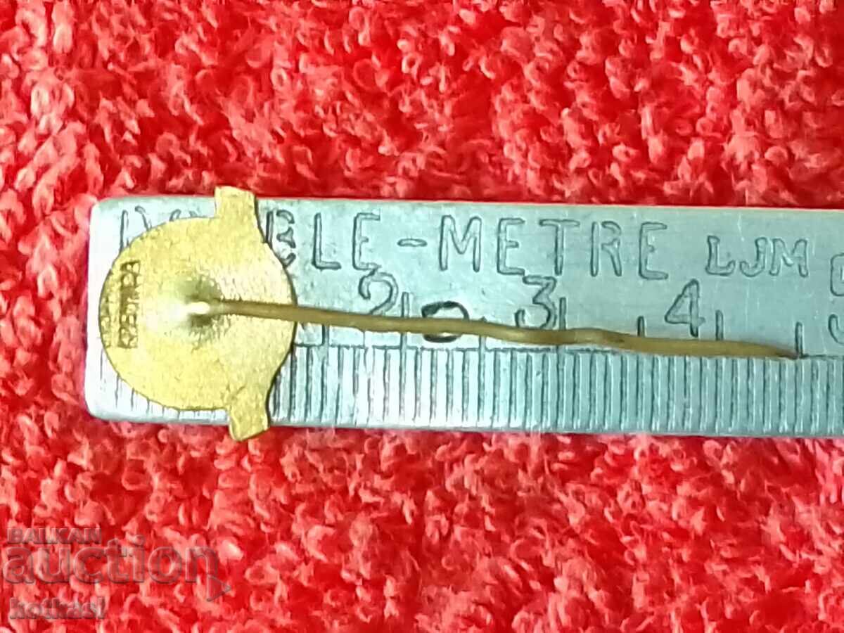 Old metal bronze pin badge Tesla TESLA ORAVA marked with price 5.50 BGN | € 2.81 Old metal bronze pin badge Tesla TESLA ORAVA marked with price 5.50 BGN | € 2.81