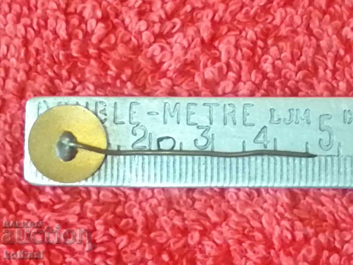 Old Metal Bronze Pin Badge Enamel Electroimpex with price 4.50 BGN | € 2.30 Old Metal Bronze Pin Badge Enamel Electroimpex with price 4.50 BGN | € 2.30