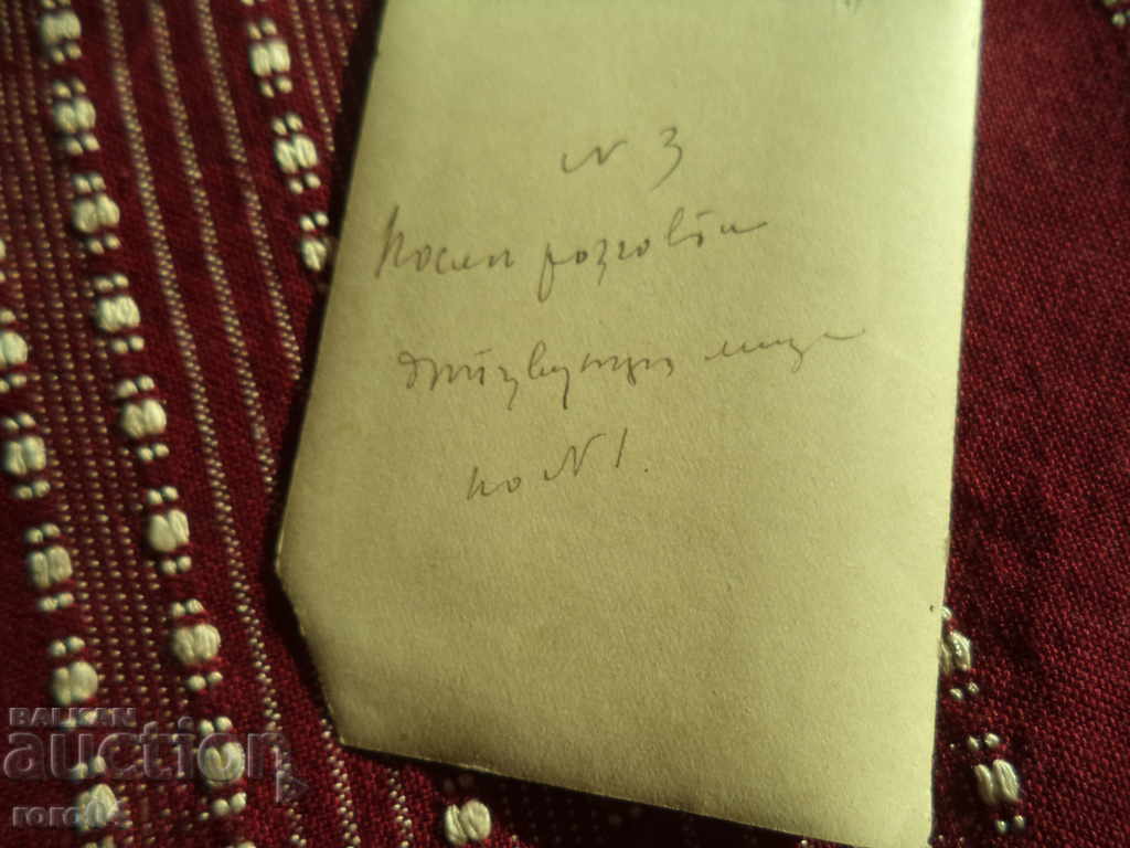 VECHI FOTOGRAFII - ARISTOCRATE - TABLA DE PASTE - 5