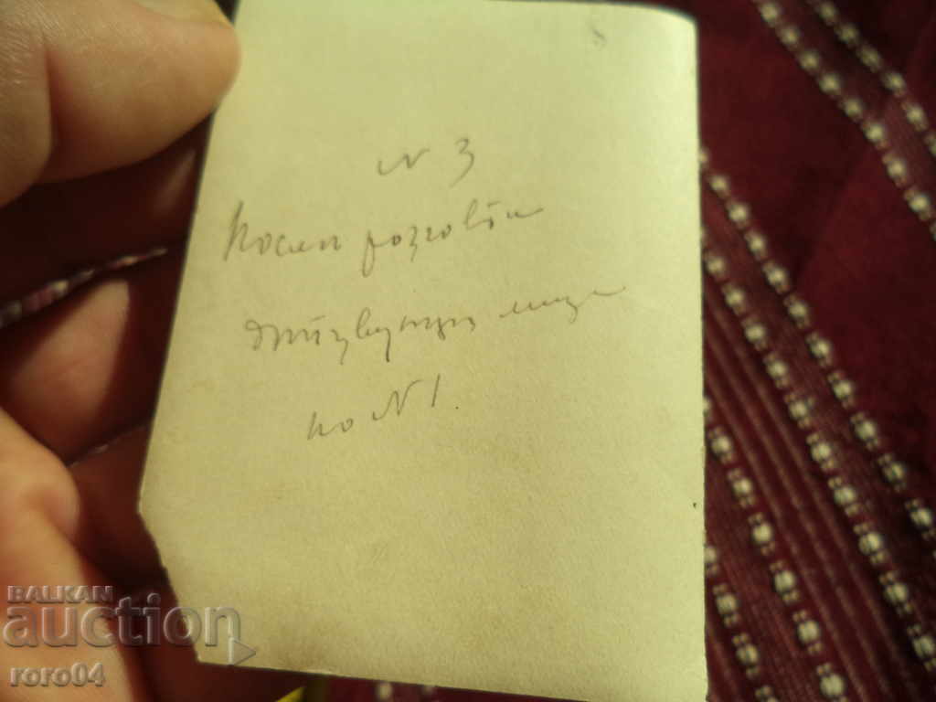 VECHI FOTOGRAFII - ARISTOCRATE - TABLA DE PASTE - 6