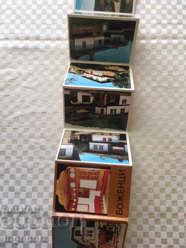 Auction CARD-8 NO Auction CARD-8 NO