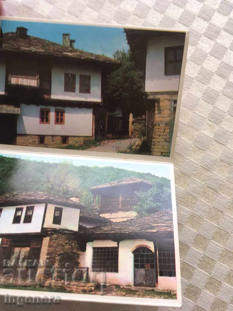 Delivery of CARD-8 NO Delivery of CARD-8 NO