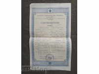 Certificate "Vasil Levski" Primary School Sofia 1919