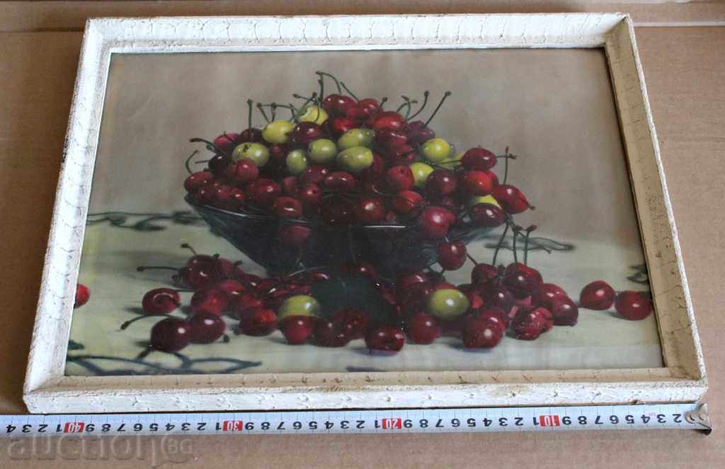 . 1972 SOC BIT PHOTO CHARTER PRINT REPRODUCTION PICTURE - 6 . 1972 SOC BIT PHOTO CHARTER PRINT REPRODUCTION PICTURE - 6