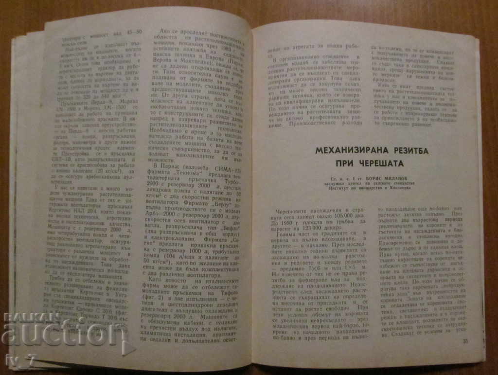 VEGETABLE WRITING - NUMBER 3,1984 - 5 VEGETABLE WRITING - NUMBER 3,1984 - 5