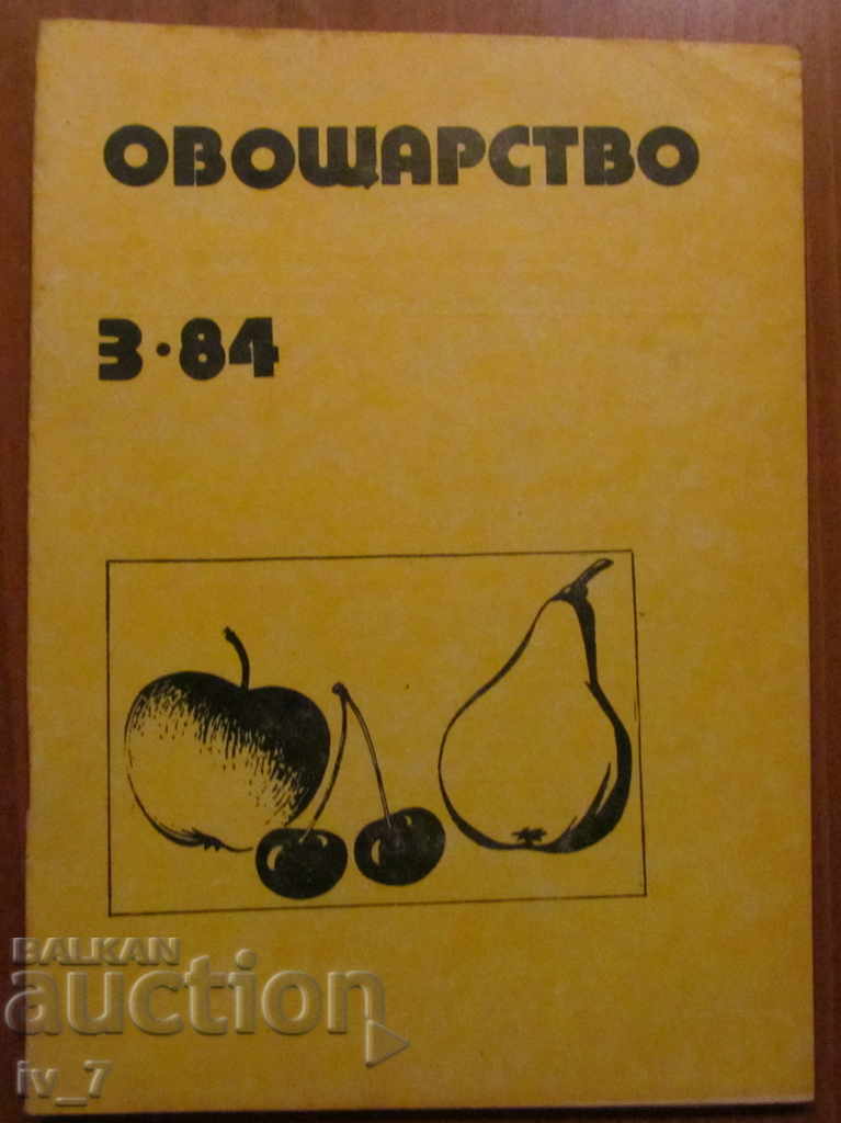 VEGETABLE WRITING - NUMBER 3,1984